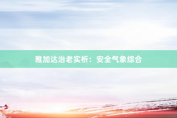 雅加达治老实析：安全气象综合