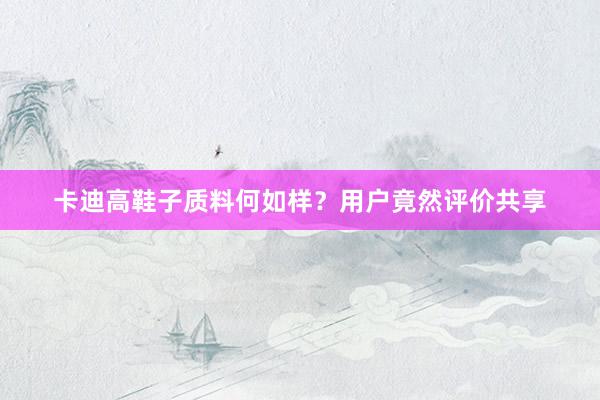 卡迪高鞋子质料何如样？用户竟然评价共享